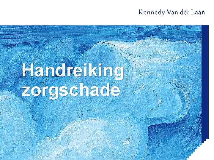 Handreiking zorgschade 