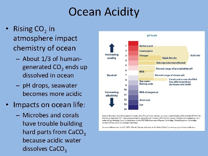 Ocean Acidity • Rising CO 2 in atmosphere impact chemistry of ocean – About