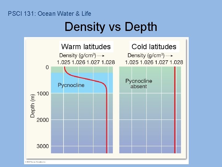 PSCI 131: Ocean Water & Life Density vs Depth Warm latitudes Cold latitudes 