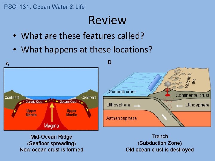 PSCI 131: Ocean Water & Life Review • What are these features called? •