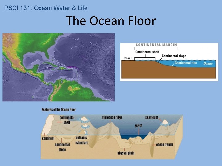 PSCI 131: Ocean Water & Life The Ocean Floor 