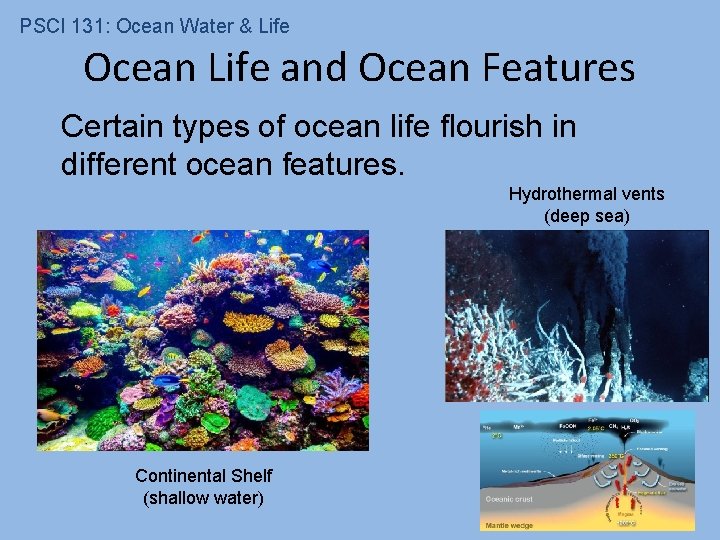 PSCI 131: Ocean Water & Life Ocean Life and Ocean Features Certain types of