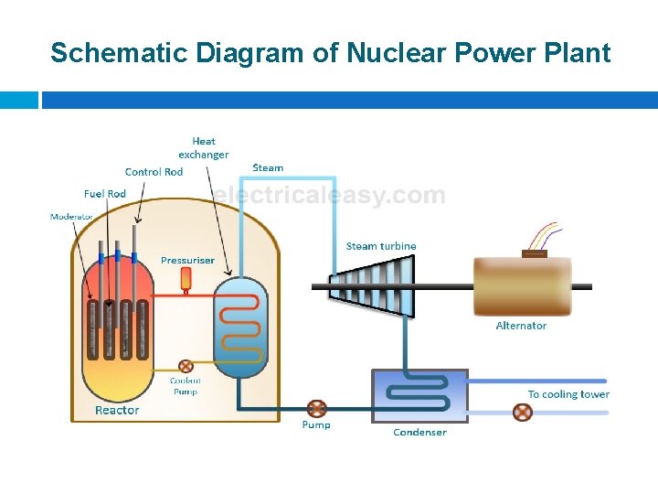 Schematic Diagram of Nuclear Power Plant 