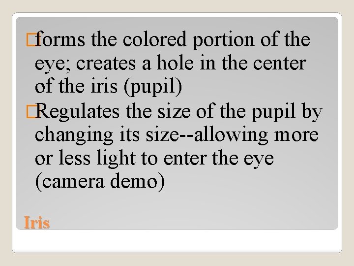 �forms the colored portion of the eye; creates a hole in the center of