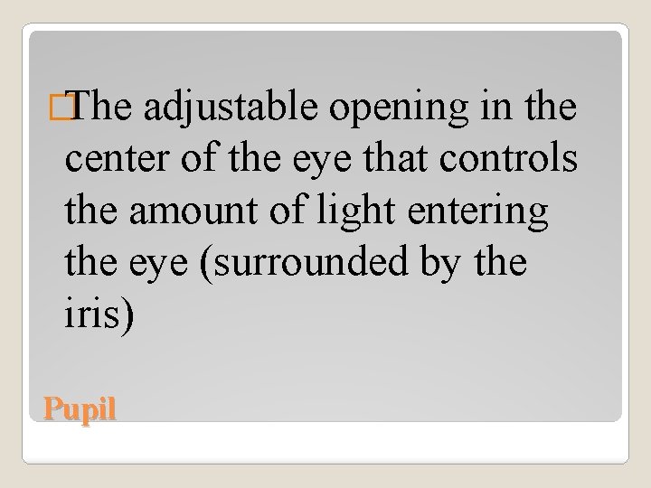 �The adjustable opening in the center of the eye that controls the amount of