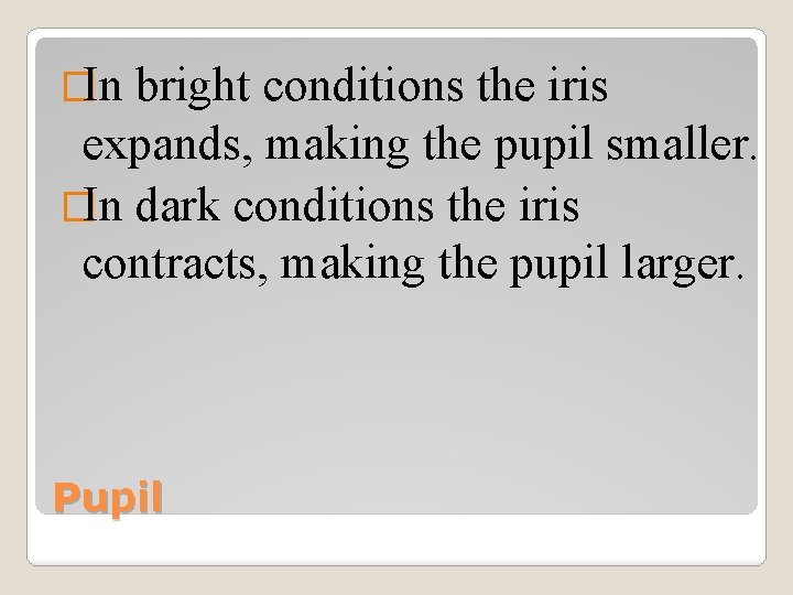 �In bright conditions the iris expands, making the pupil smaller. �In dark conditions the