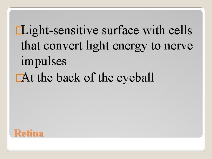 �Light-sensitive surface with cells that convert light energy to nerve impulses �At the back
