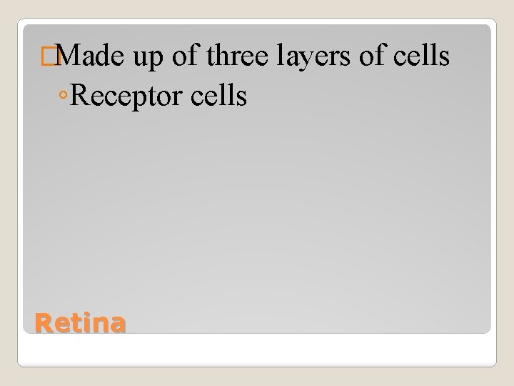 �Made up of three layers of cells ◦Receptor cells Retina 