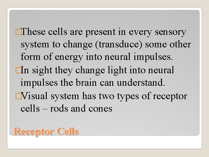 �These cells are present in every sensory system to change (transduce) some other form
