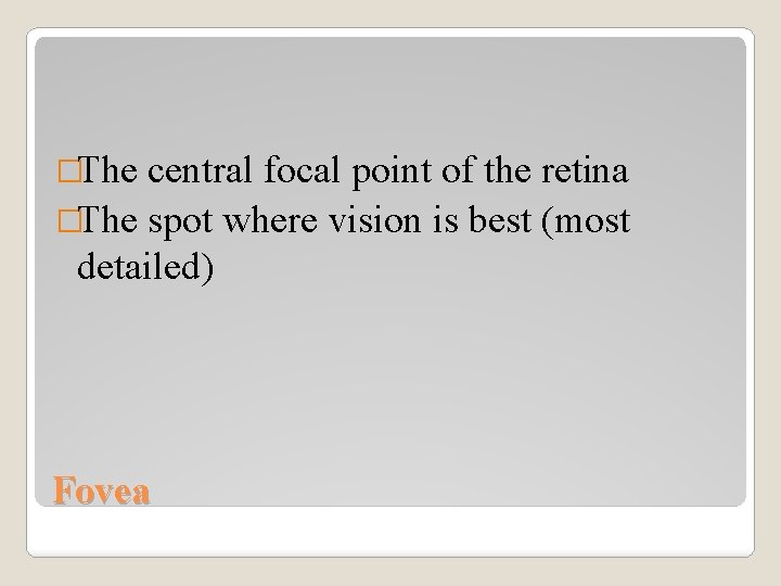 �The central focal point of the retina �The spot where vision is best (most