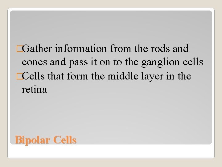 �Gather information from the rods and cones and pass it on to the ganglion