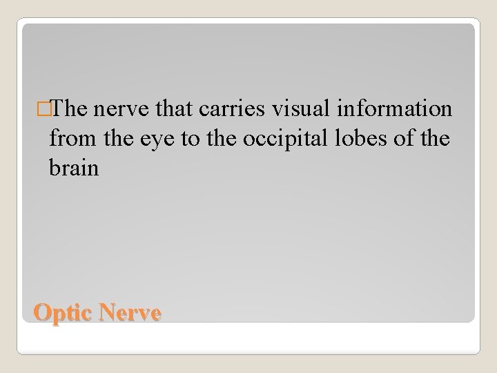 �The nerve that carries visual information from the eye to the occipital lobes of
