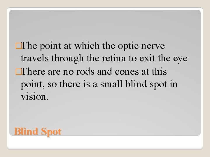 �The point at which the optic nerve travels through the retina to exit the