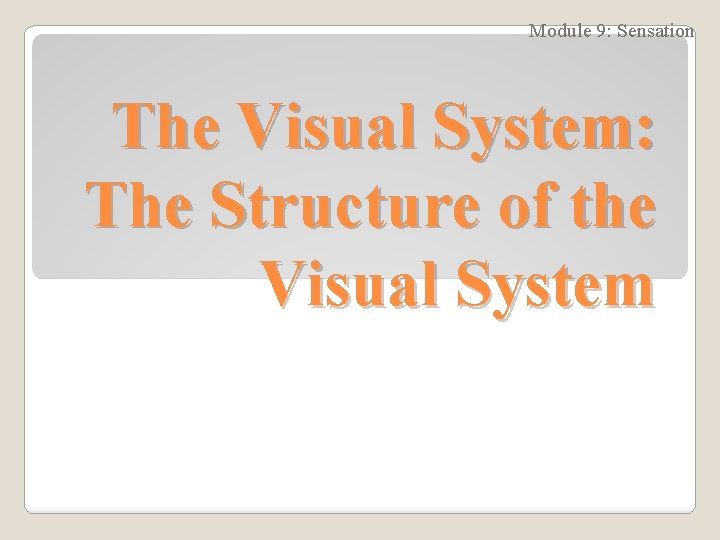 Module 9: Sensation The Visual System: The Structure of the Visual System 