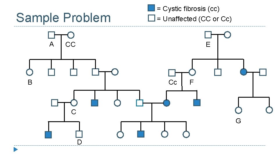 Sample Problem A = Cystic fibrosis (cc) = Unaffected (CC or Cc) CC E