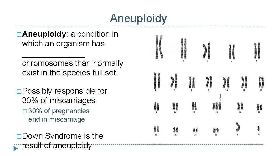 Aneuploidy �Aneuploidy: a condition in which an organism has _______ chromosomes than normally exist