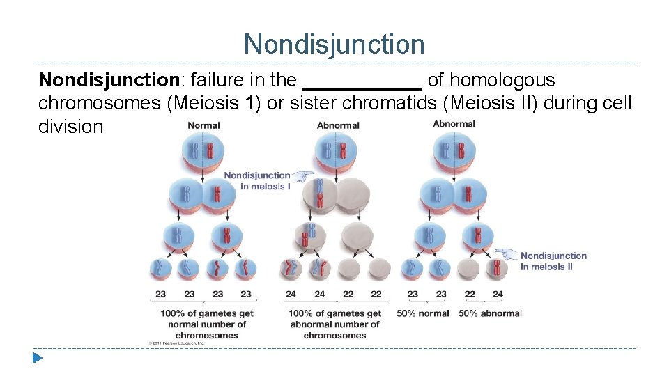 Nondisjunction: failure in the ______ of homologous chromosomes (Meiosis 1) or sister chromatids (Meiosis