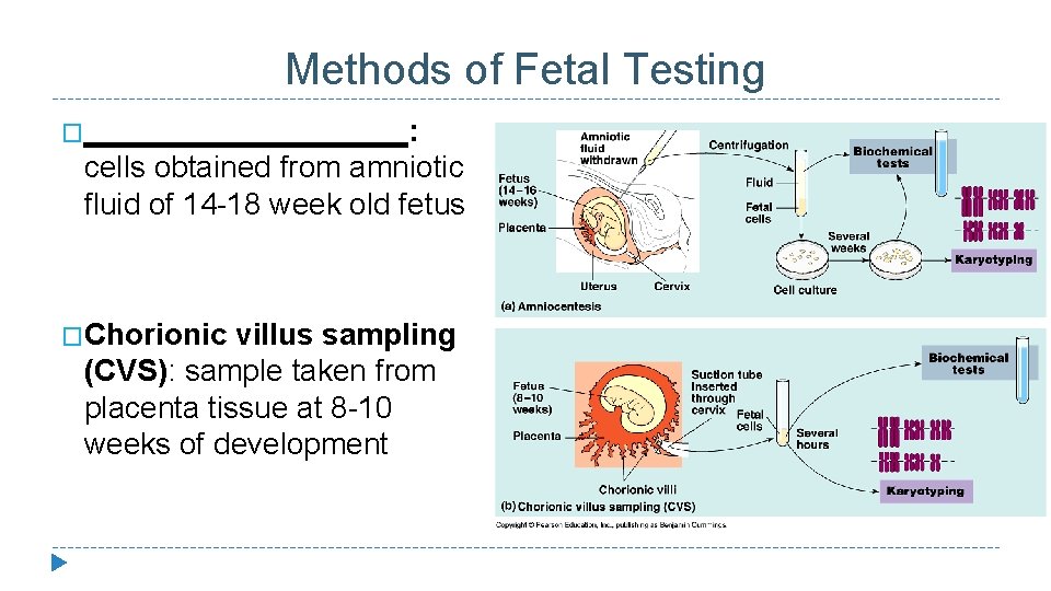 Methods of Fetal Testing �__________: cells obtained from amniotic fluid of 14 -18 week