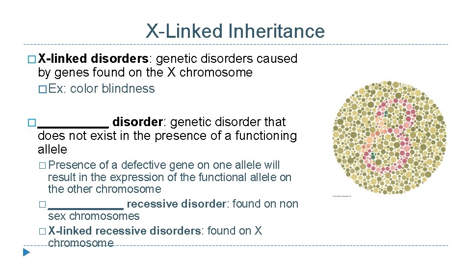 X-Linked Inheritance � X-linked disorders: genetic disorders caused by genes found on the X