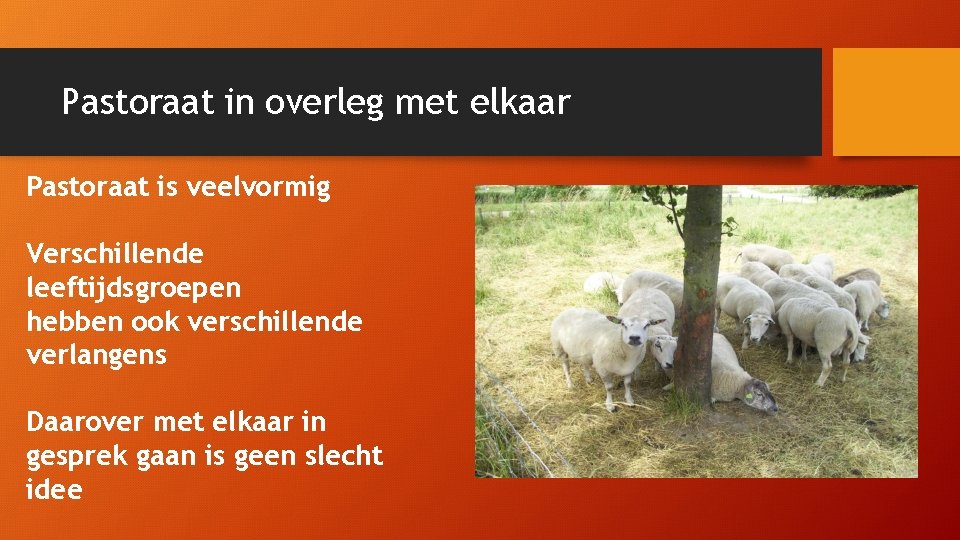 Pastoraat in overleg met elkaar Pastoraat is veelvormig Verschillende leeftijdsgroepen hebben ook verschillende verlangens