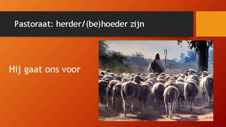 Pastoraat: herder/(be)hoeder zijn Hij gaat ons voor 