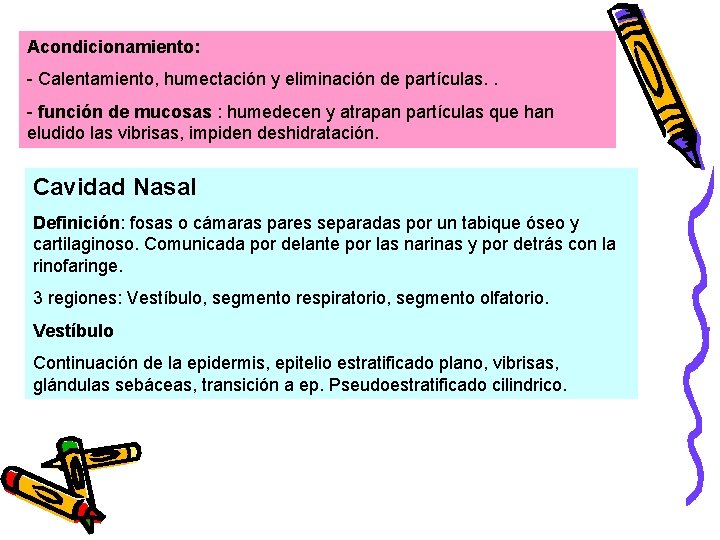 Acondicionamiento: - Calentamiento, humectación y eliminación de partículas. . - función de mucosas :