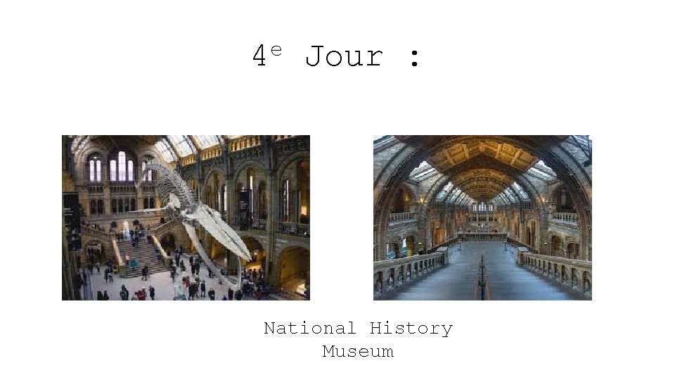 e 4 Jour : National History Museum 