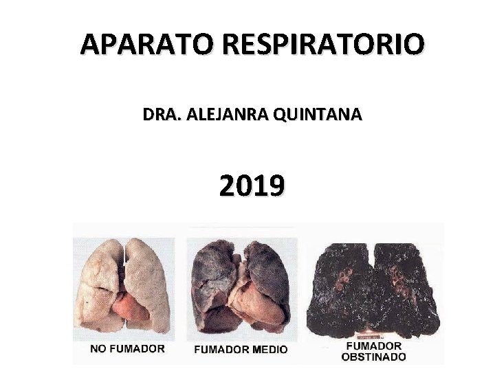 APARATO RESPIRATORIO DRA. ALEJANRA QUINTANA 2019 