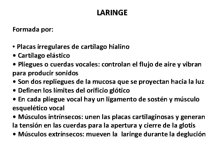 LARINGE Formada por: • Placas irregulares de cartílago hialino • Cartílago elástico • Pliegues