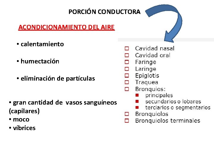 PORCIÓN CONDUCTORA ACONDICIONAMIENTO DEL AIRE • calentamiento • humectación • eliminación de partículas •