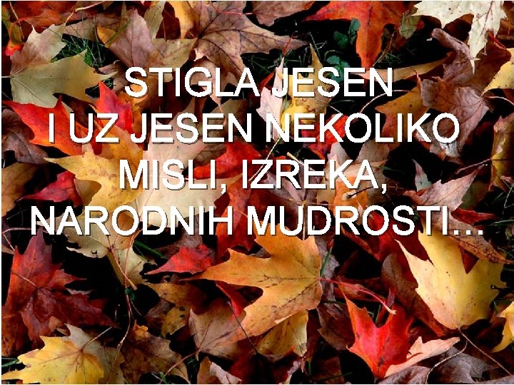 STIGLA JESEN I UZ JESEN NEKOLIKO MISLI, IZREKA, NARODNIH MUDROSTI… 