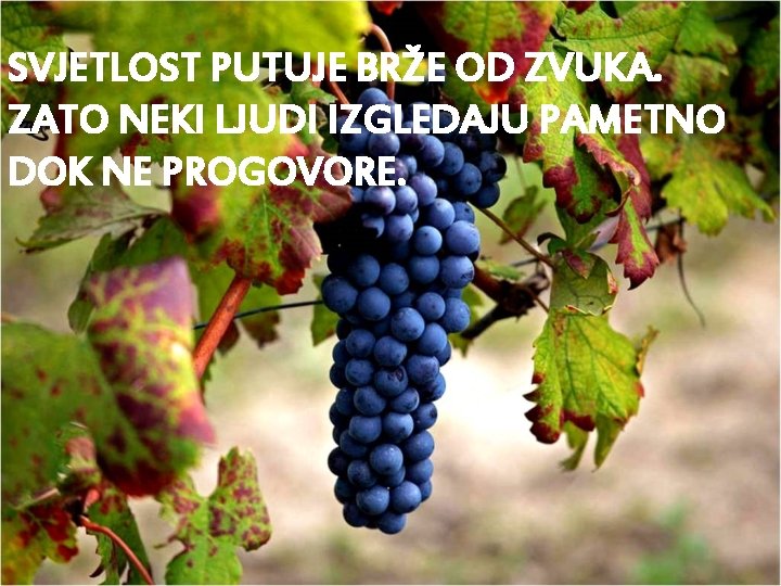 SVJETLOST PUTUJE BRŽE OD ZVUKA. ZATO NEKI LJUDI IZGLEDAJU PAMETNO DOK NE PROGOVORE. 