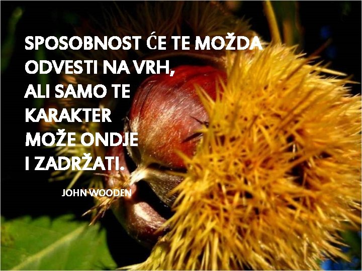 SPOSOBNOST ĆE TE MOŽDA ODVESTI NA VRH, ALI SAMO TE KARAKTER MOŽE ONDJE I