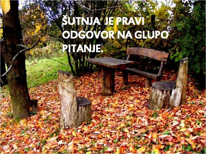 ŠUTNJA JE PRAVI ODGOVOR NA GLUPO PITANJE. 