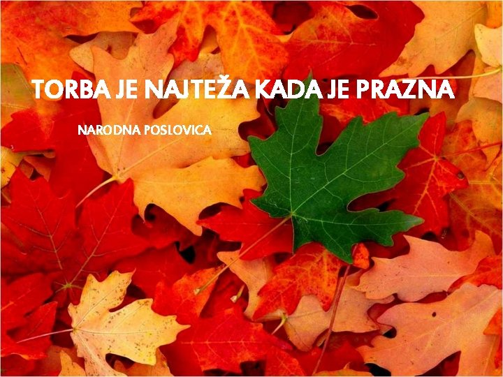 TORBA JE NAJTEŽA KADA JE PRAZNA NARODNA POSLOVICA 