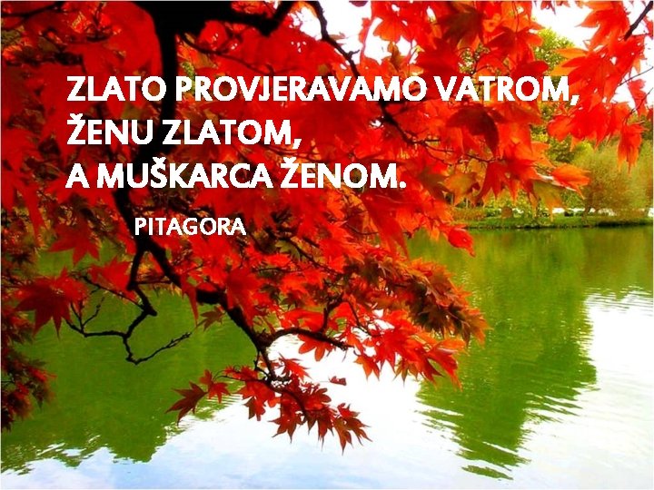 ZLATO PROVJERAVAMO VATROM, ŽENU ZLATOM, A MUŠKARCA ŽENOM. PITAGORA 
