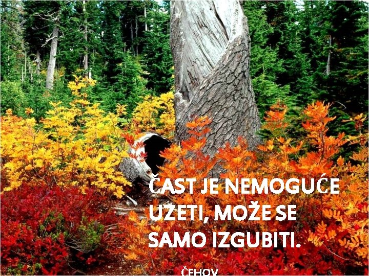 ČAST JE NEMOGUĆE UZETI, MOŽE SE SAMO IZGUBITI. 