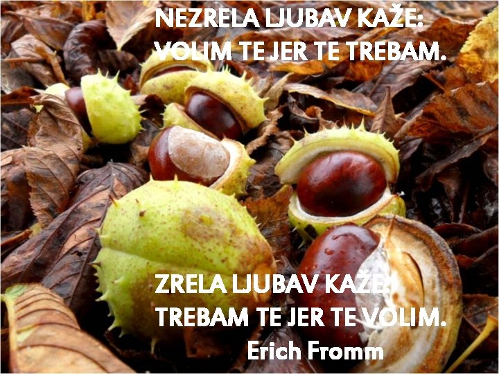 NEZRELA LJUBAV KAŽE: VOLIM TE JER TE TREBAM. ZRELA LJUBAV KAŽE: TREBAM TE JER