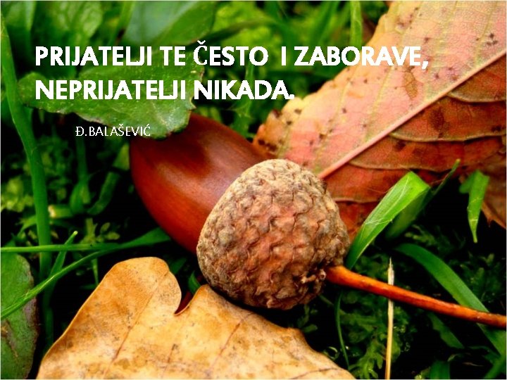 PRIJATELJI TE ČESTO I ZABORAVE, NEPRIJATELJI NIKADA. Đ. BALAŠEVIĆ 