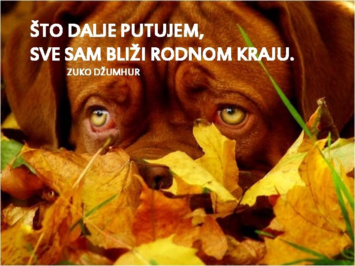 ŠTO DALJE PUTUJEM, SVE SAM BLIŽI RODNOM KRAJU. ZUKO DŽUMHUR 