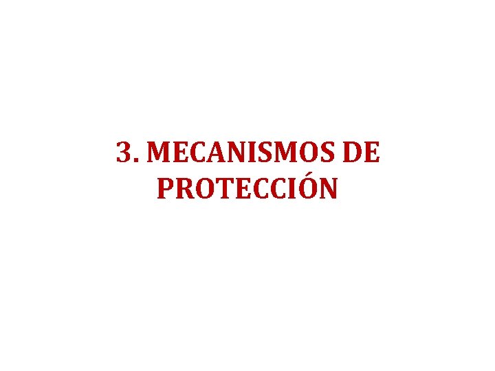 3. MECANISMOS DE PROTECCIÓN 