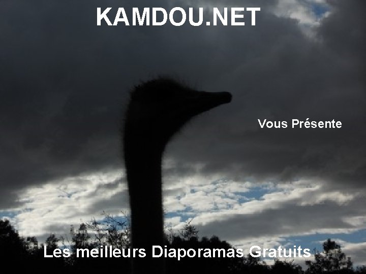 KAMDOU. NET Vous Présente Les meilleurs Diaporamas Gratuits 