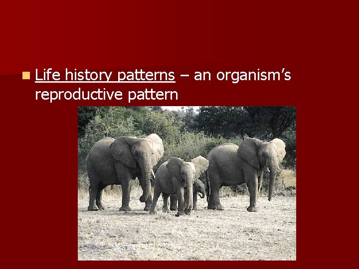n Life history patterns – an organism’s reproductive pattern 