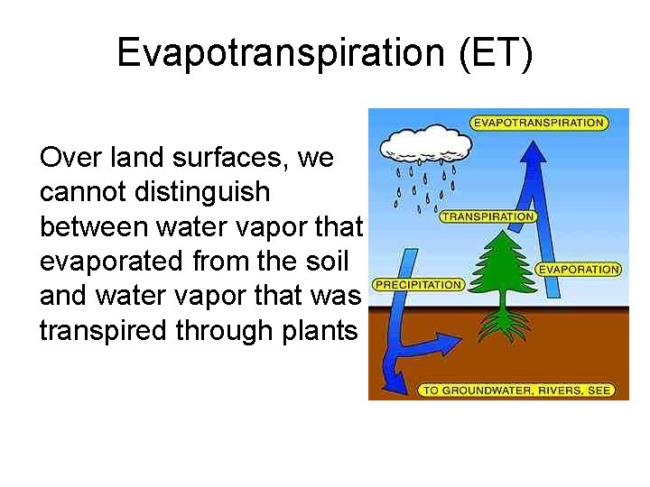 Evapotranspiration (ET) Over land surfaces, we cannot distinguish between water vapor that evaporated from