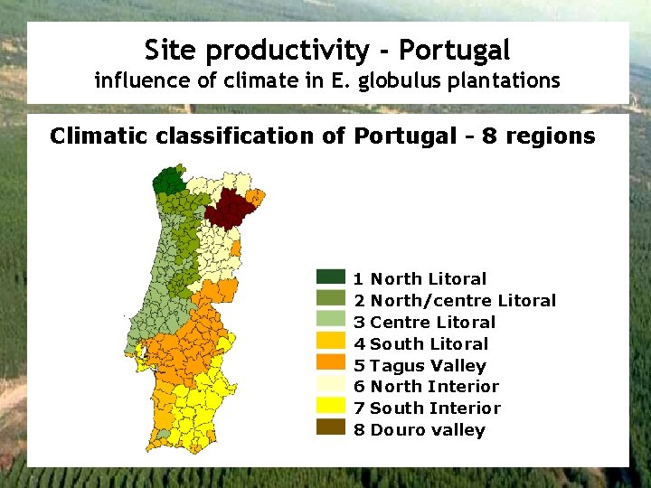 Site productivity - Portugal influence of climate in E. globulus plantations Climatic classification of