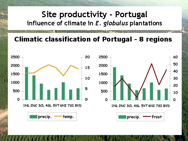 Site productivity - Portugal influence of climate in E. globulus plantations Climatic classification of