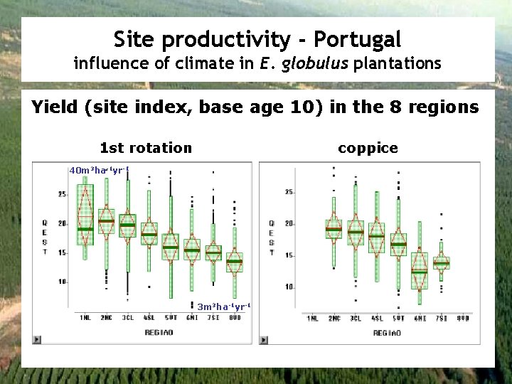 Site productivity - Portugal influence of climate in E. globulus plantations Yield (site index,