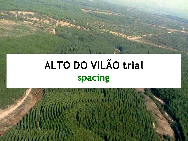 ALTO DO VILÃO trial spacing 