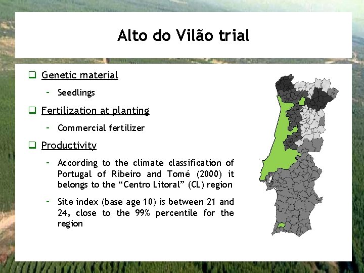 Alto do Vilão trial q Genetic material – Seedlings q Fertilization at planting –