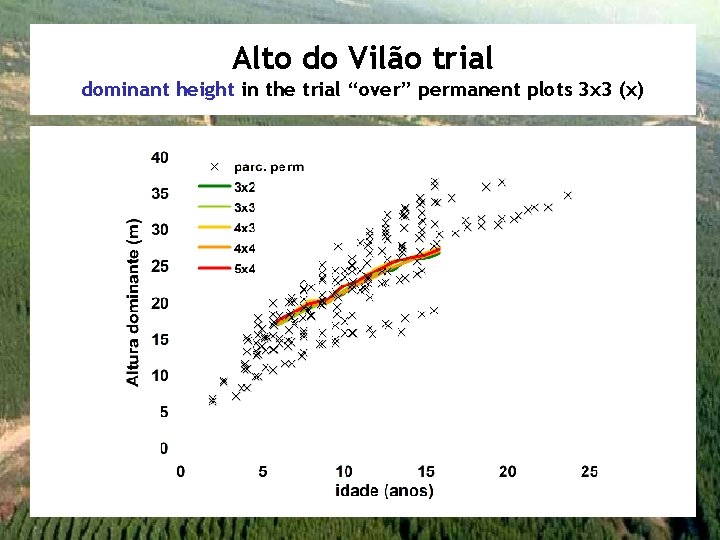 Alto do Vilão trial dominant height in the trial “over” permanent plots 3 x